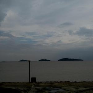 农民伯伯下乡妹伦理电影在线播放
